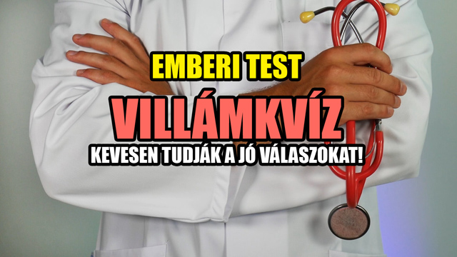 Emberi test Villámkvíz - Kevesen tudják a jó válaszokat!